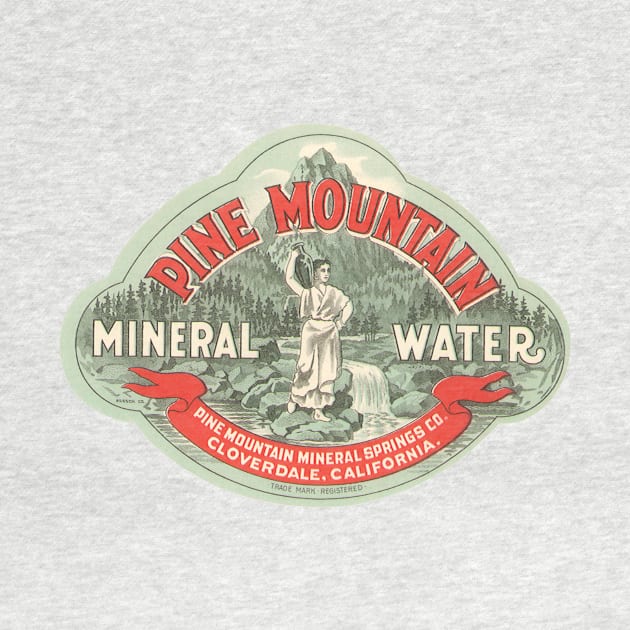 Vintage Pine Mountain Mineral Water Label by MasterpieceCafe